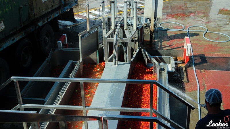 Pressereise zur Tomatenernte nach Badajos in Spanien mit Maggi