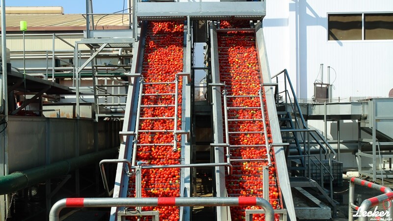 Pressereise zur Tomatenernte nach Badajos in Spanien mit Maggi