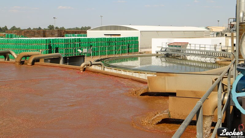 Pressereise zur Tomatenernte nach Badajos in Spanien mit Maggi