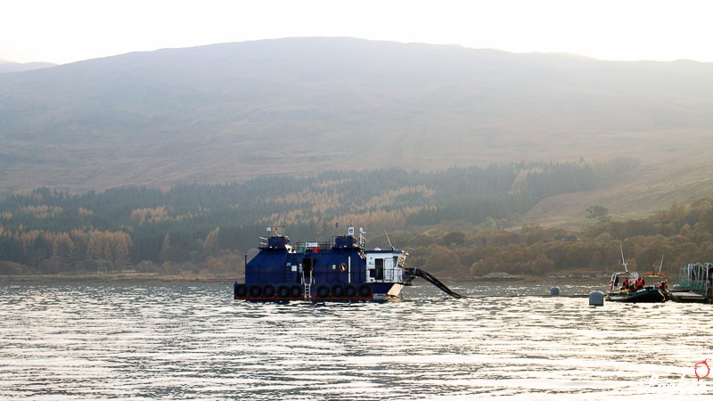 Pressereise mit Glen Douglas Lachs zu den Lachsfarmen auf der Isle of Mull in Schottland