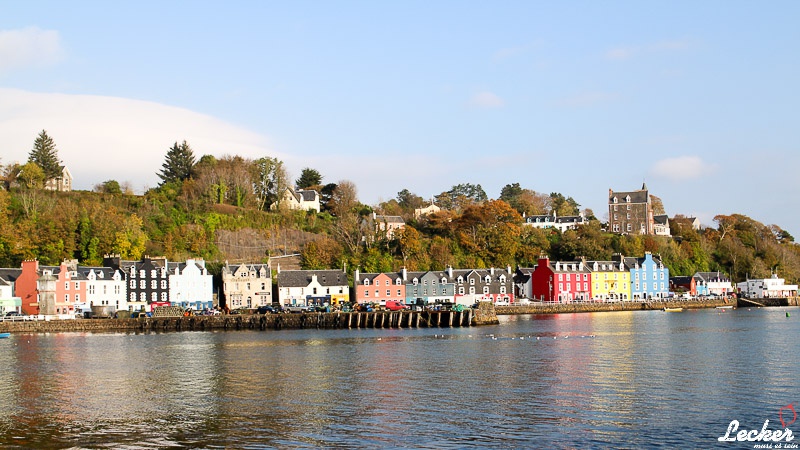 Pressereise mit Glen Douglas Lachs zu den Lachsfarmen auf der Isle of Mull in Schottland