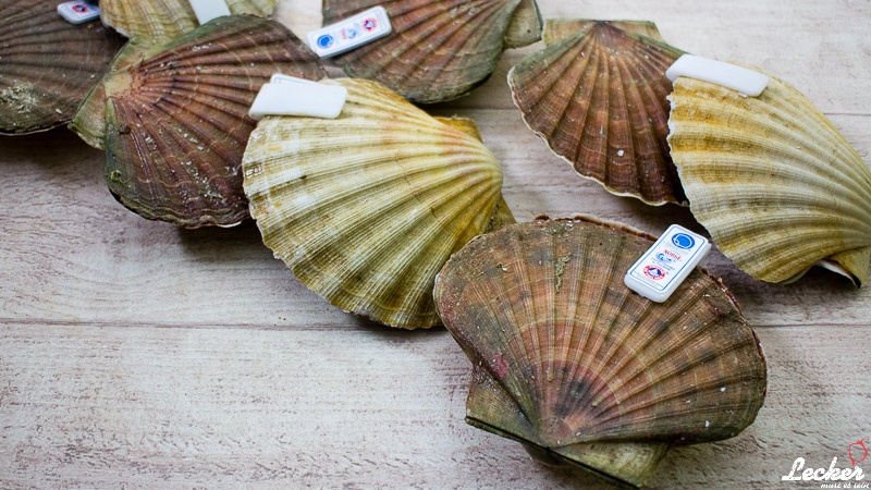 Überbackene Jakobsmuscheln mit Rogen und Grappa