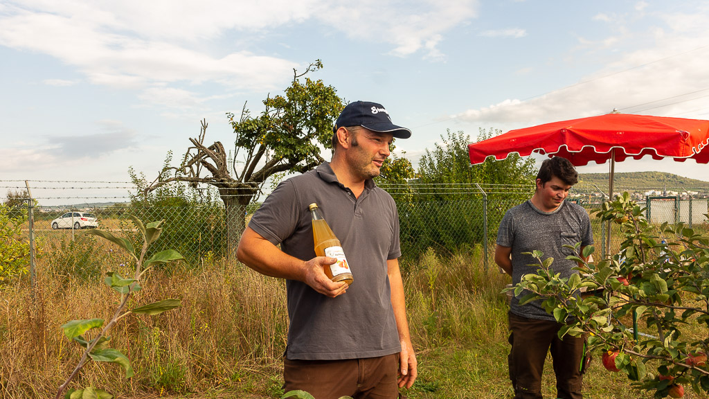 Rheinhessen genießen 2021 Obsthof dein Ingelbaum