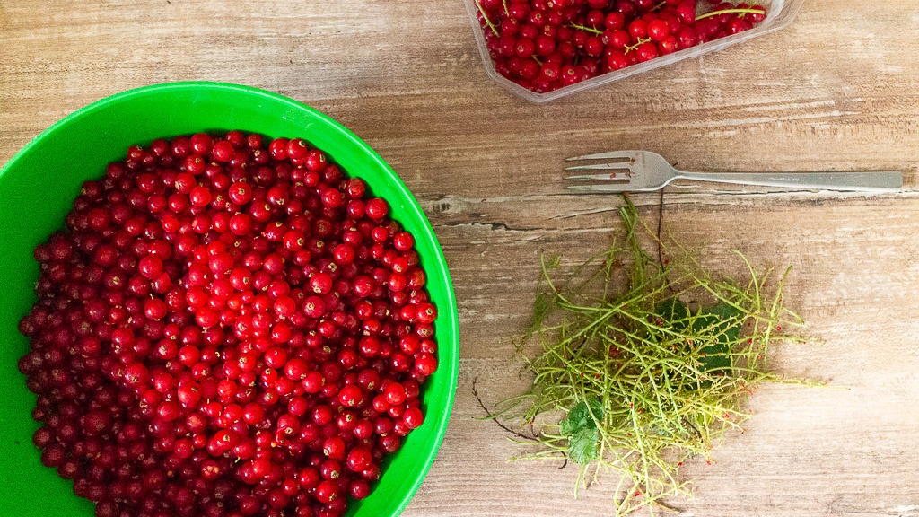 Johannisbeergelee Rezept - einfach selber machen